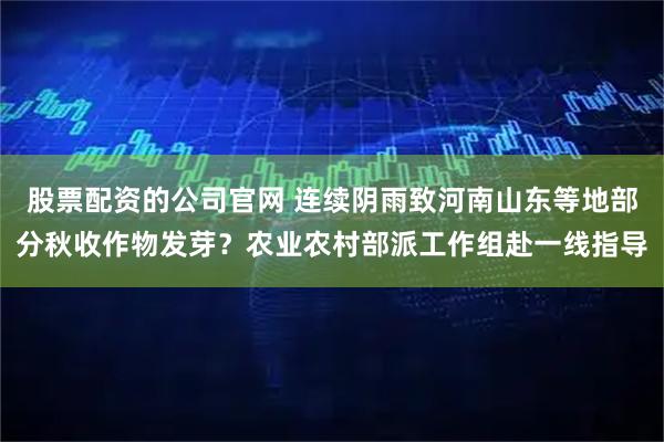 股票配资的公司官网 连续阴雨致河南山东等地部分秋收作物发芽？农业农村部派工作组赴一线指导